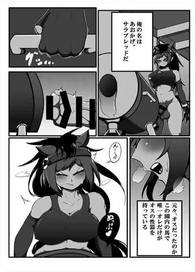 Friends Mae Shippo Goudoushi