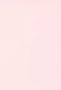 (C77) [Raiden Labo (Raiden)] Kenji-ya (Lotte no Omocha!)