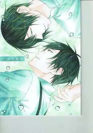 Petals Falling on Rippling Waters