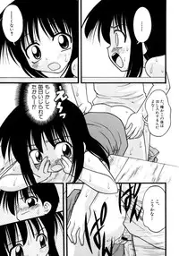 [yeahhhy tomii] Meconopsis