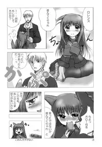 (Mimiket 18) [Himemiko Jinja (Buntaichou)] Holo to Issho (Spice and Wolf)