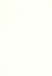 [MULTI VITAMIN] RotenYoukan