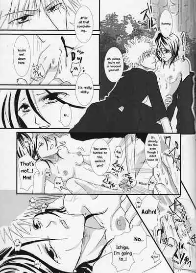 [TRANCEG (Tokugawa Miyo)] Lovers' Soul (Bleach) [English] [EHCOVE]