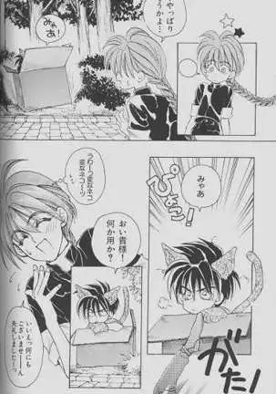 Cherry Na Kimi Ni Pine Na Boku.