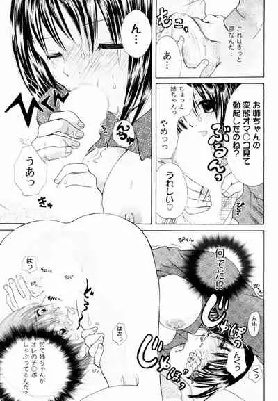 Tsundere joshi Riko-sama OL nikki