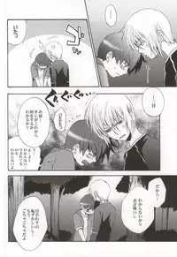 (C71) [CACHE-CACHE (Nanjou Papiko)] Ameiro Nemesis (Brave Story)