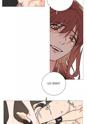 Sadistic Beauty Ch.0-28