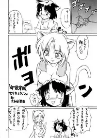 (C54) [.30-06 (Tsutsumi Akari)] CAZA MAYOR 3