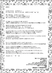 (C84) [Popochichi (Yahiro Pochi)] SHE IS A TECHNICIAN (Infinite Stratos)