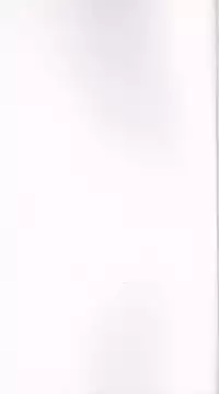 (Comic1☆6) [Hi-PER PINCH (Clover)] Naburi Itsu