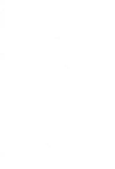 Dadamore Gotcha Bonnou 3