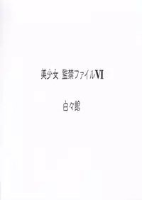 (SC4) [Hakuhakukan (Haku)] Bishoujo Kankin File VI