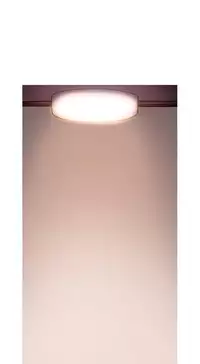 [PINKO] Scandal of the Witch Ch.1-29 (English) (Ongoing)