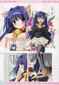 (C70) [Watsukiya (Watsuki Ayamo)] Watsukiya no Hon 013 (Various)