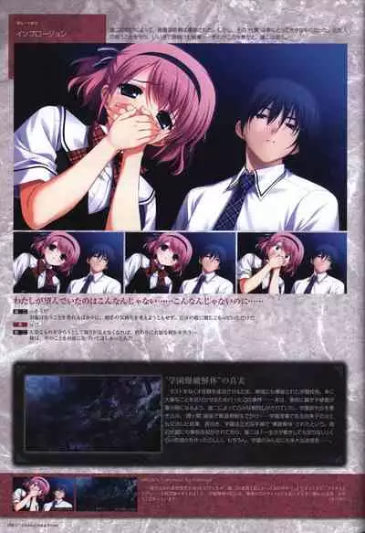 Game Artbook - グリザイアの果実 ビジュアルファンブック (Grisaia No Kajitsu)
