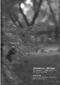 (C74) [54burger (Marugoshi)] Rainbow Bridge (Touhou Project)